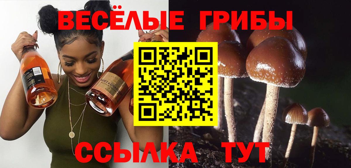 Донецк  Галлюциногенные грибы мицелий  Вход с VPN 